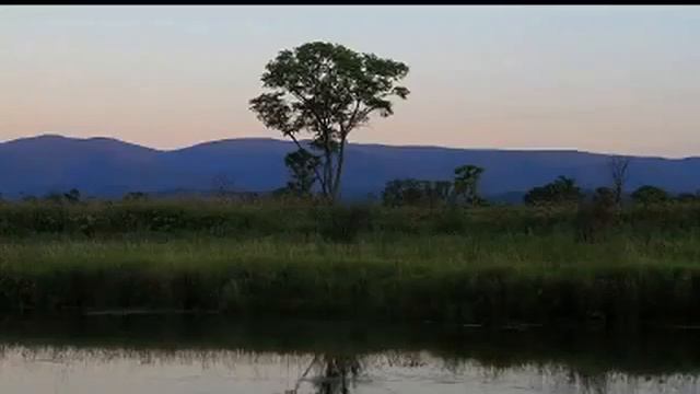 ПРИРОДА ХАБАРОВСКОГО КРАЯ. смотреть онлайн