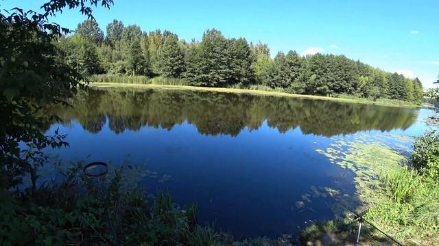 Надел Сало на крючок и поймал МОНСТРА!!! Рыбалка в сентябре на реке. Ловля на фидер. Рыбалка на лещ