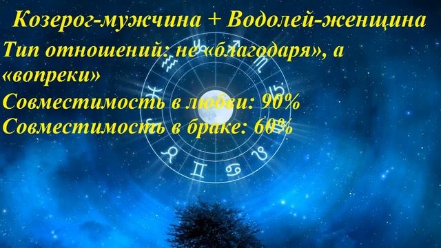 Совместимость Козерог-мужчина и Водолей-женщина смотреть онлайн
