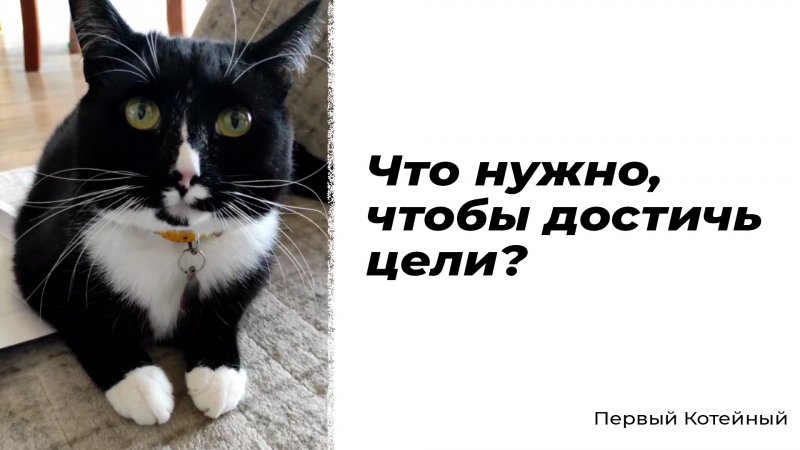 Что нужно, чтобы достичь цели? ?