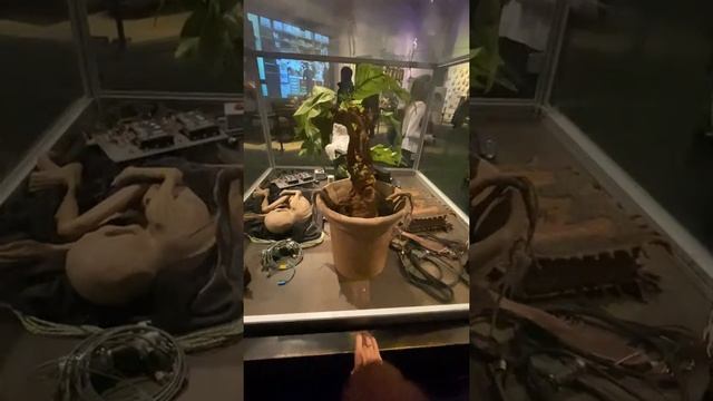 Волшебные создания мира Гарри Поттера HP studio tour London смотреть онлайн