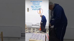 Дрессировка щенка Кане корсо