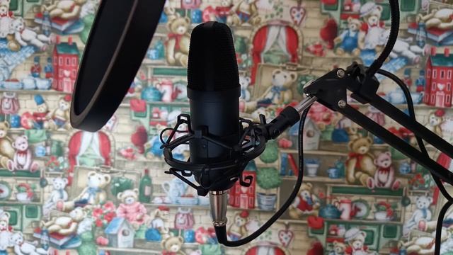 Укрощение строптивой - 2 или Авантюрные сценки из рыцарских времён Мини-фэнтези. Аудиокнига.