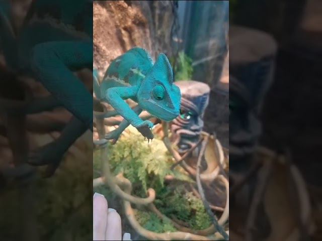 16 июня 2023 г. смотреть онлайн