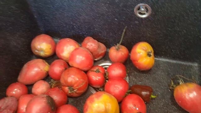 Утро.А пойду ка я копать картошку! смотреть онлайн