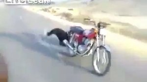 Довыпендривался на мотоцикле !!!