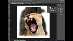 Photo editing in photoshop  Apple with lion face