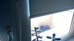 Как открыть роллеты