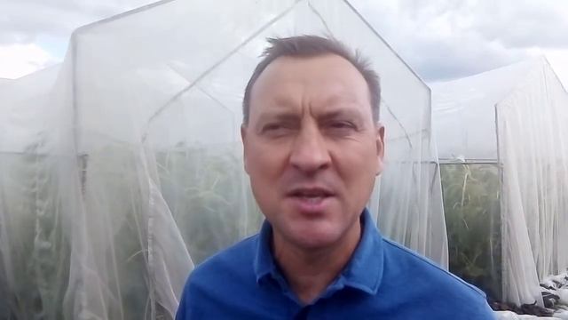 селекция подсолнечника ООО "АФ НПП АГРОМИР"