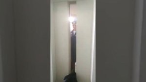 мой брат вернулся из армии я плакала когда мама мне показала это видео плакала от радости!