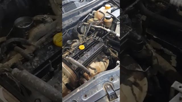 Шевроле каптива 2,4 начало ремонта смотреть онлайн