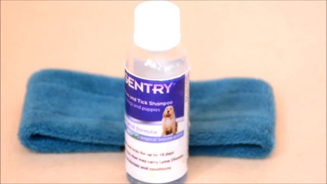 Обзор на шампунь фирмы Sentry «Тропический Бриз» смотреть онлайн