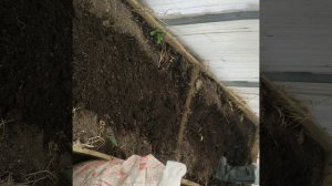 Подготовка теплой грядки в теплице