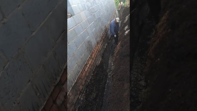 Моем фундамент автомойкой bosch смотреть онлайн