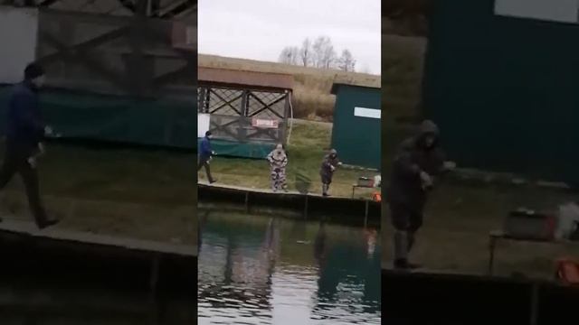 Рыбалка на форель. Ловля форели на спиннинг. Платная рыбалка в Подмосковье / рыбалка Савельево. смотреть онлайн