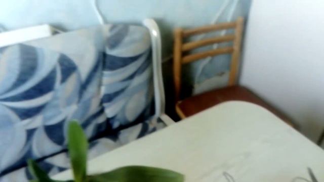 #спасибогорячевскому# смотреть онлайн