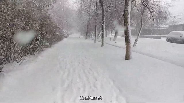 Сравнение камер Samsung S8, OnePlus 5T, Samsung S20 FE, Vivo X50. смотреть онлайн