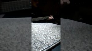 Кумык от души играет на гитаре 👍