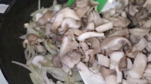 ГРИБЫ СО СМЕТАНОЙ