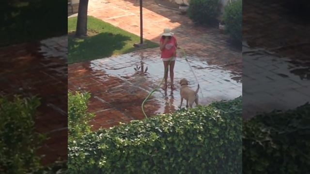 Собака поливака. Салоу. Испания смотреть онлайн