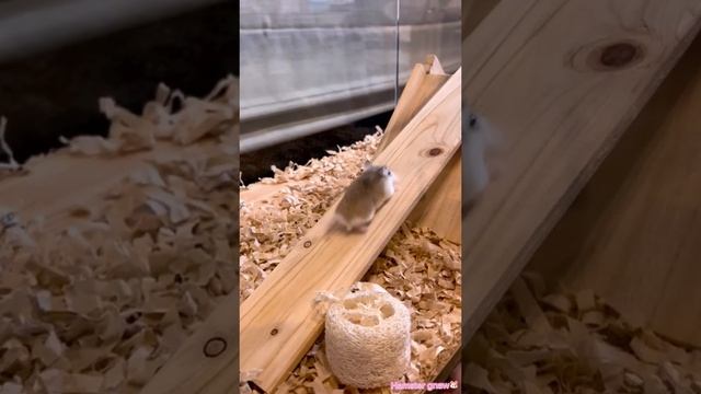 1000002072.mp4 смотреть онлайн