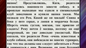 Сочинение на тему «Письмо другу»