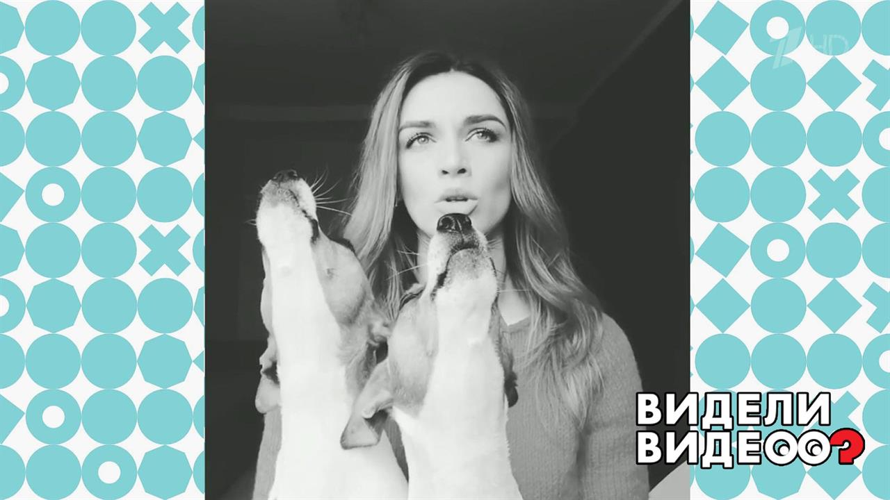 Меломаны - джек-расселы. Видели видео? Фрагмент выпуска от 08.01.2020