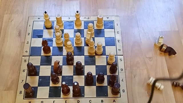 игра в шахматы "итальянка" 2 часть смотреть онлайн