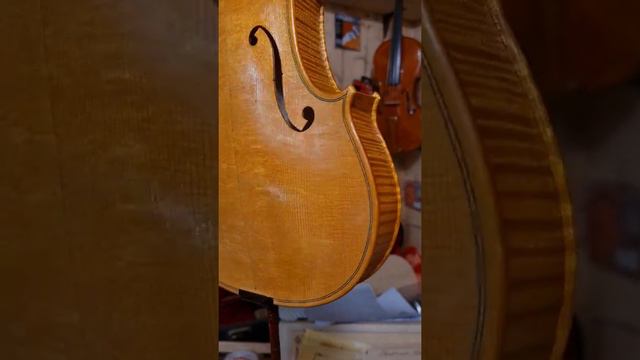 detail violin