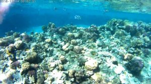 domina coral bay sultan beach dicembre 2016
