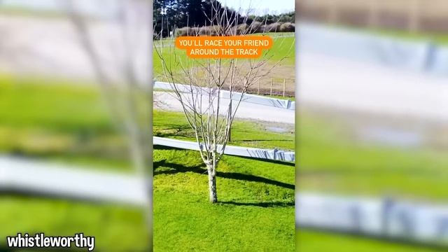 this huge SPIDER came out of shower drain.. смотреть онлайн