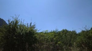 Предгорье горы Развалка