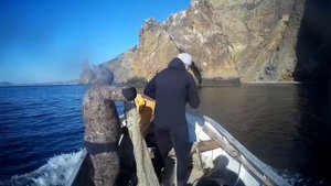 ОХОТА НА РАПАНУ. ДАЙВИНГ В КРЫМУ. ВСЯ ПРАВДА ПРО РАПАНУ Часть 1