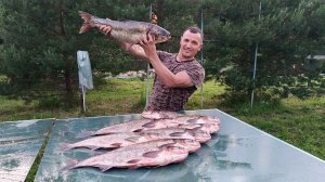 Отличная раздача толстолоба Обновил новые снасти.