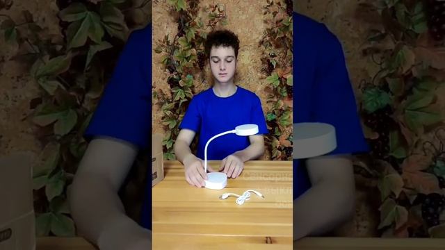 НАСТОЛЬНАЯ СВЕТОДИОДНАЯ ЛАМПА смотреть онлайн