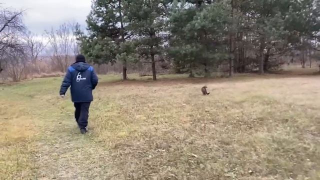 СБЕЖАЛИ ИЗ ГОРОДА, УШЛИ В ЛЕС ВМЕСТЕ С КОТОМ, СОБРАЛИ ГРИБОВ РЕАЛЬНАЯ ЖИЗНЬ НА ПЕНСИИ смотреть онлайн