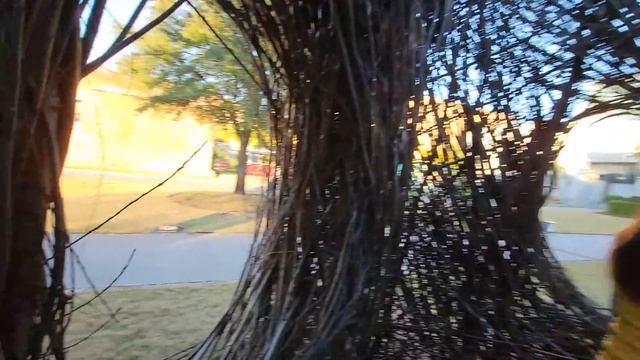 музей искусства штат Джорджия смотреть онлайн