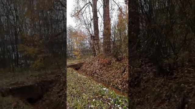 Израиль/Дагестан. Торчат одни и те же уши? смотреть онлайн