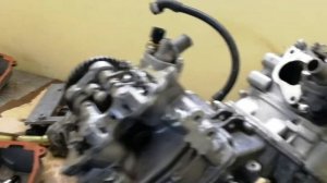 Stels росомаха 800 odes v800 двигатель