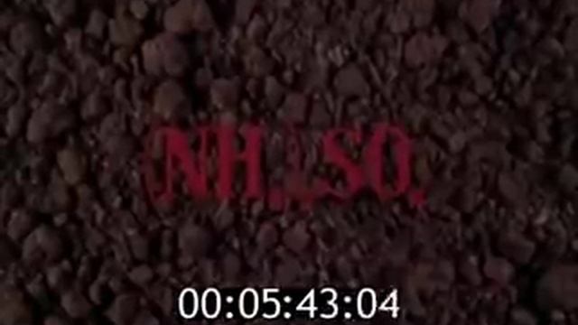 Азот и Азотные удобрения