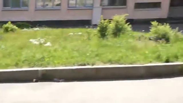 Aleksandr Kopanev - НОКТЮРН смотреть онлайн