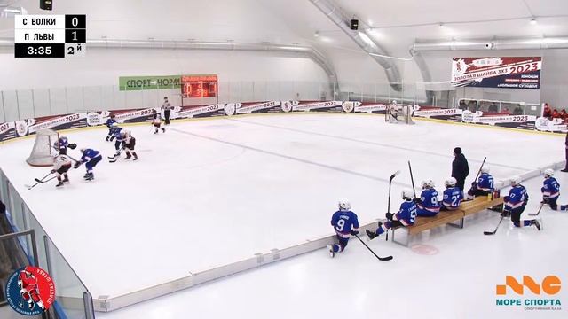 ЗШ (2) 10-11 г.р. | Серебряные волки - Первомайские львы | 25 Ноября 2023 г. 11:50 | смотреть онлайн