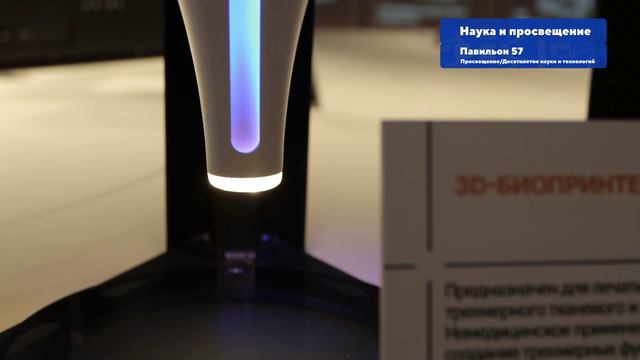 Наука и просвещение