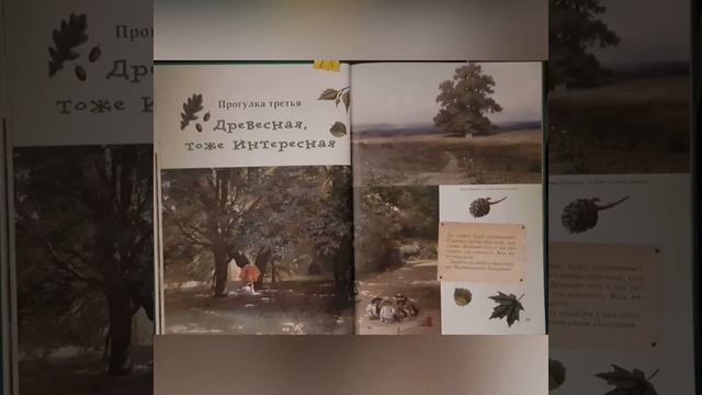 Литературные прогулки по лесу с Сергеем Махотиным смотреть онлайн