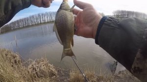 Рыбалка в краснодарском крае! Карп, сазан, карась на что клюёт !!! "Клевое место" Выезд-1