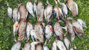 Охота в Новотроицке! Осень 2024