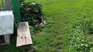 Сына проводила/Машину загрузили овощами 🍅🌶️🥕