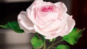 How to Make the Perfect Rose with Susan Trianos