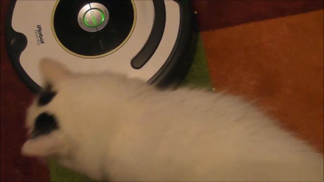 Австрия #37: Наш маленький помощник - робот-пылесос iRobot Roomba 620 смотреть онлайн