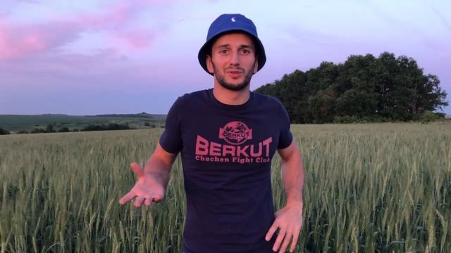 ПШЕНИЦА, поджег дешевым гербицидом!
